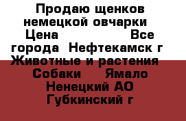 Продаю щенков немецкой овчарки › Цена ­ 5000-6000 - Все города, Нефтекамск г. Животные и растения » Собаки   . Ямало-Ненецкий АО,Губкинский г.